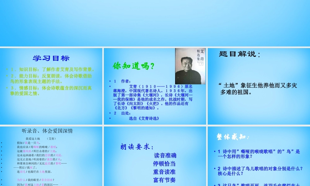 九年级语文下册 第1课(诗两首)我爱这土地课件 新人教版 课件