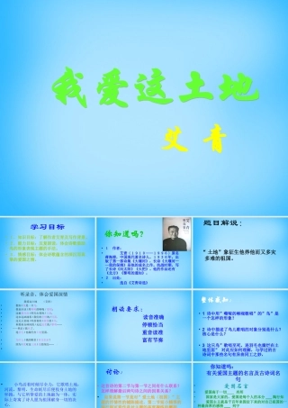 九年级语文下册 第1课(诗两首)我爱这土地课件 新人教版 课件