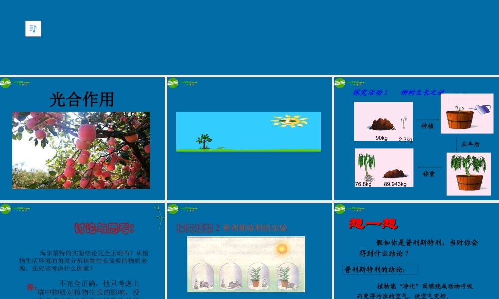 七年级生物上册 第一节 光合作用课件 北师大版 课件