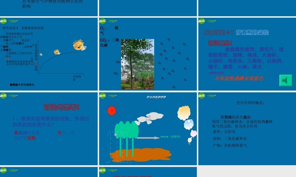 七年级生物上册 第一节 光合作用课件 北师大版 课件