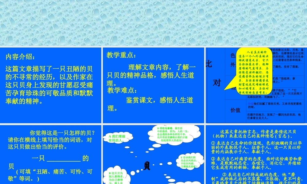 九年级语文上册 28(一只贝)课件 北京课改版 课件