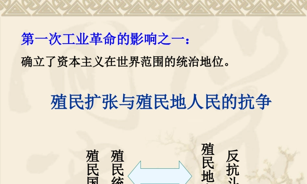 初三历史血腥的资本积累 课件