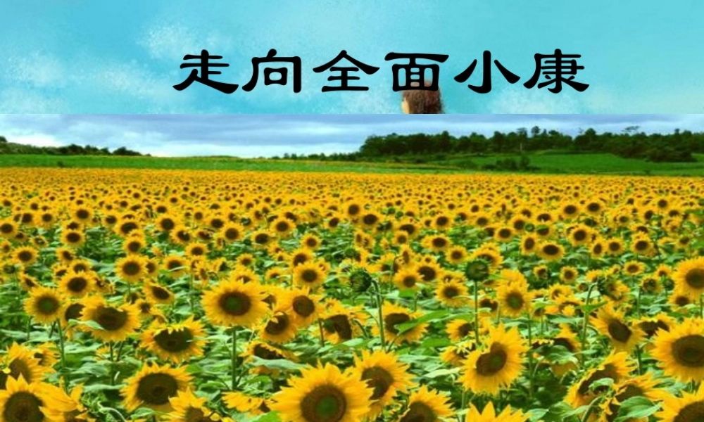 八年级政治下册 走向全面小康课件 湘教版 课件