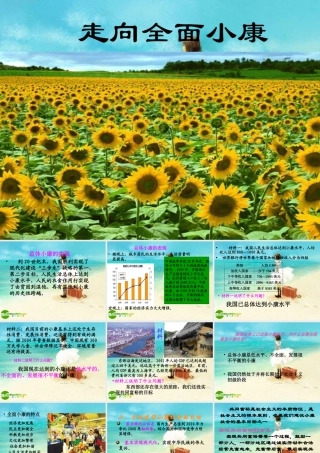 八年级政治下册 走向全面小康课件 湘教版 课件