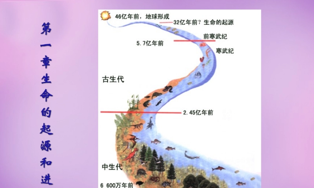 八年级生物下册 第七单元 第三章 第一节 地球上生命的起源课件2 新人教版 课件