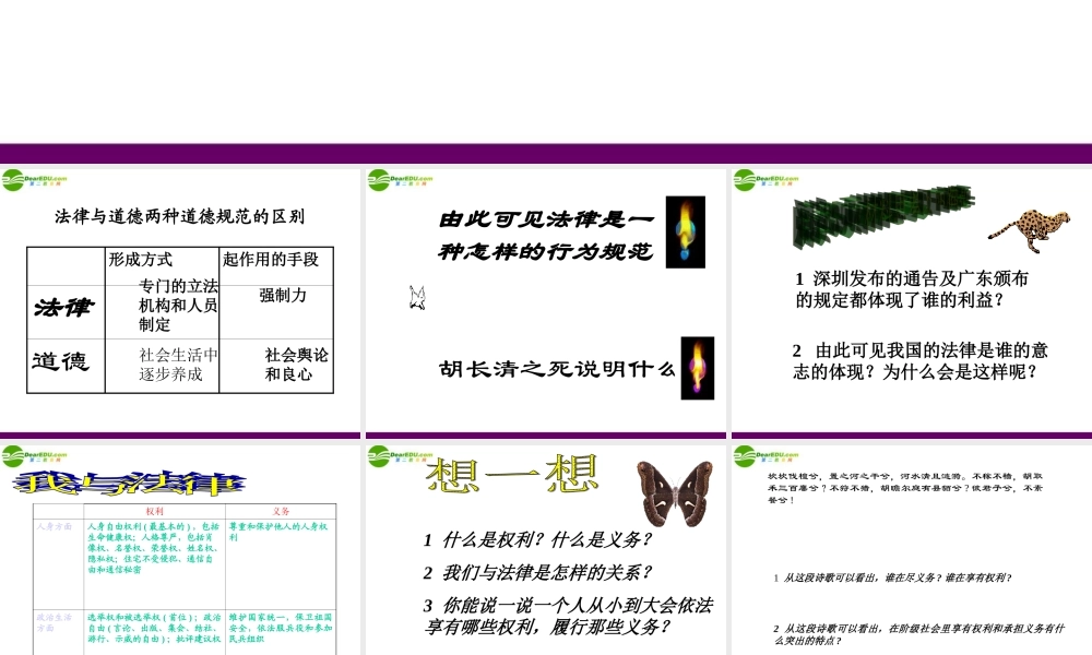 八年级政治上册 第七课(法律保护我们的权利)第一框课件 鲁教版 课件