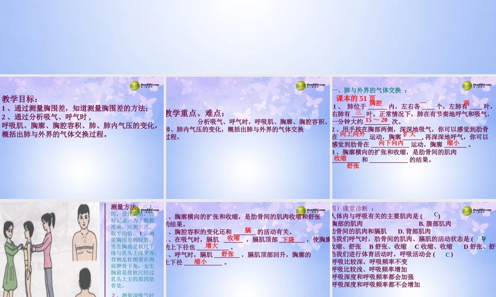 八年级生物上册 第三章 第二节 发生在肺内的气体交换课件 鲁科版 课件