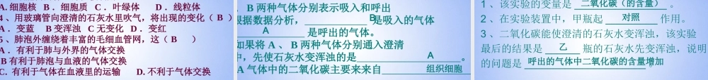 八年级生物上册 第三章 第二节 发生在肺内的气体交换课件 鲁科版 课件