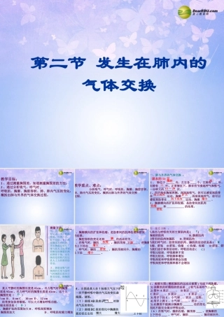 八年级生物上册 第三章 第二节 发生在肺内的气体交换课件 鲁科版 课件