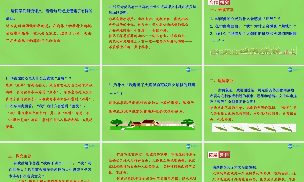 中学七年级语文下册(第28课 华南虎)课件 新人教版 课件