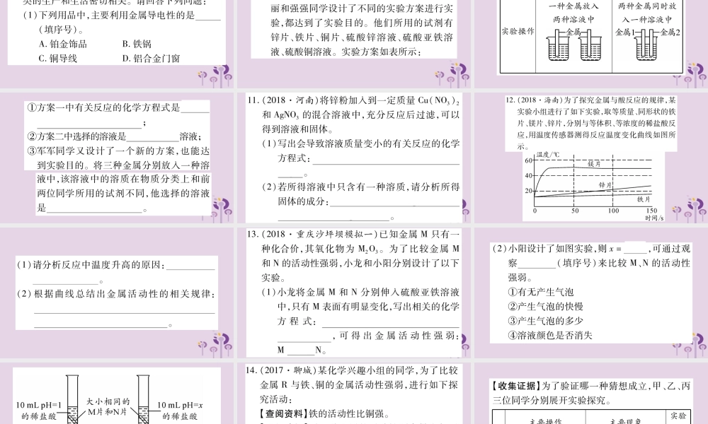 中考化学复习 专项突破一 金属活动性顺序及其应用(精练)课件