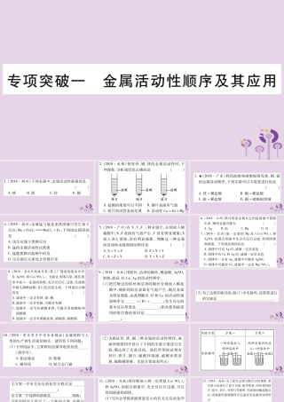 中考化学复习 专项突破一 金属活动性顺序及其应用(精练)课件