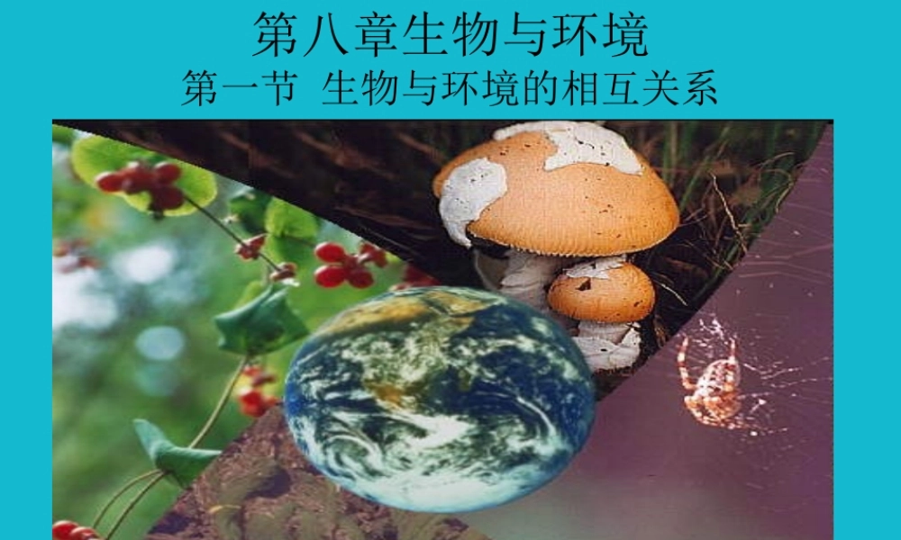 七年级生物生物与环境的相互关系课件1 新课标 人教版 课件