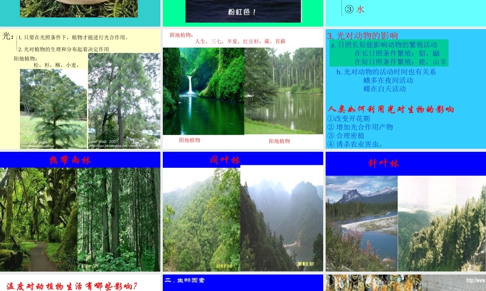 七年级生物生物与环境的相互关系课件1 新课标 人教版 课件