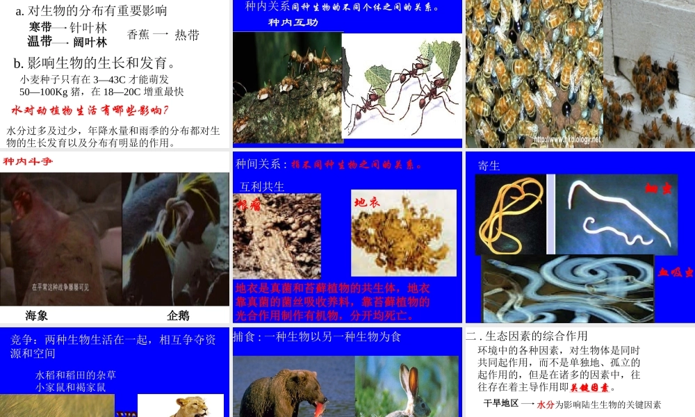 七年级生物生物与环境的相互关系课件1 新课标 人教版 课件