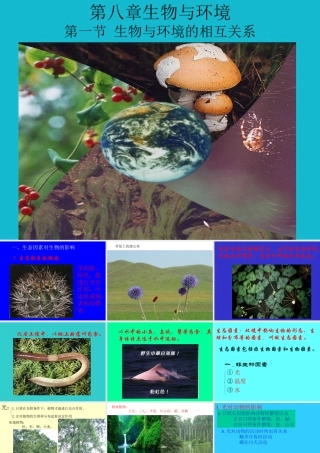 七年级生物生物与环境的相互关系课件1 新课标 人教版 课件