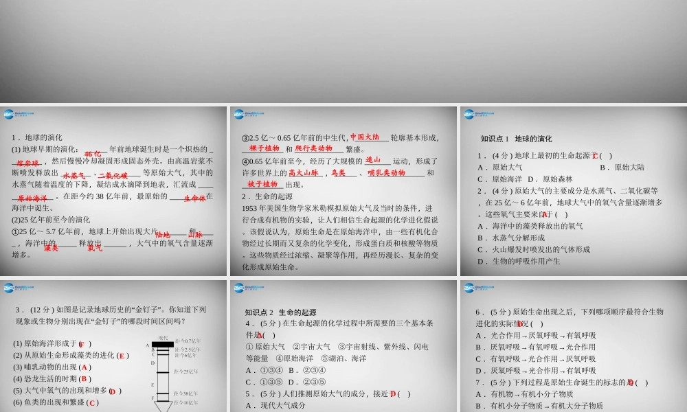 九年级科学下册 13 地球的演化和生命的起源习题课件 浙教版 课件