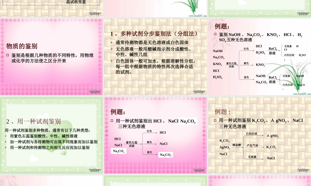 初三化学专题复习 物质的鉴定与鉴别 人教版 课件