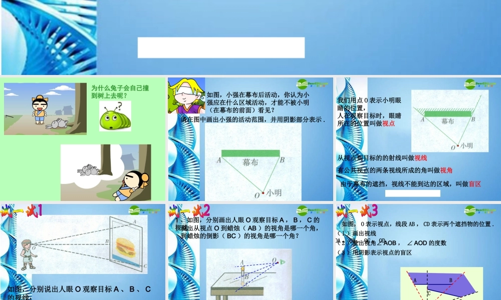 九年级数学下册 (视角与盲区)课件 浙教版 课件