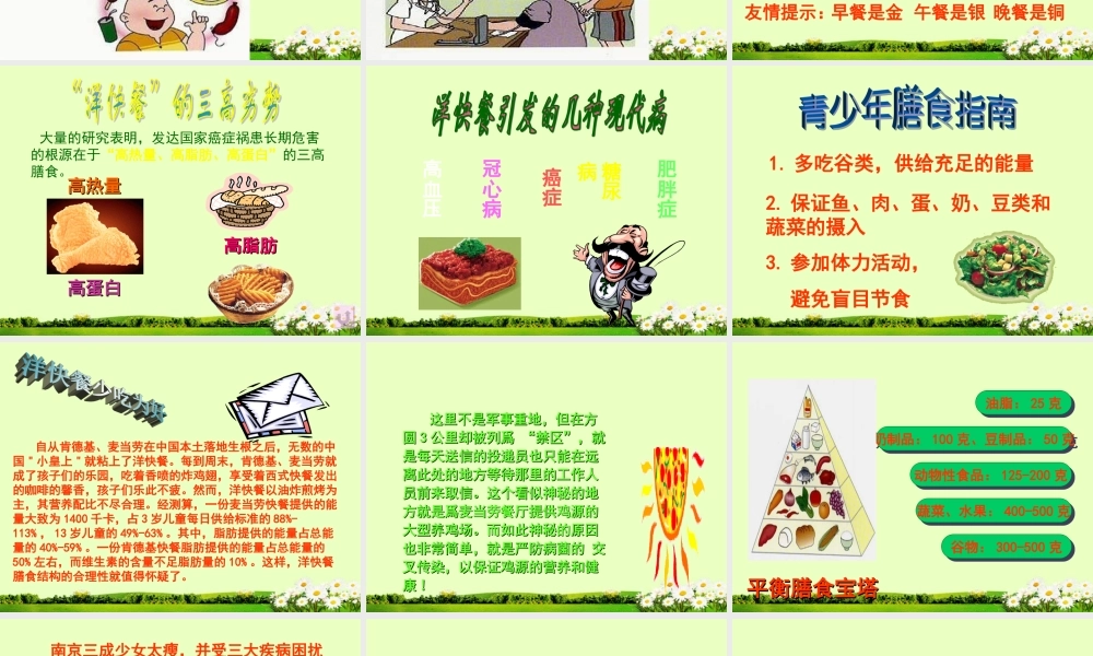 中学七年级生物下册(关注合理营养与食品安全)课件 新人教版 课件