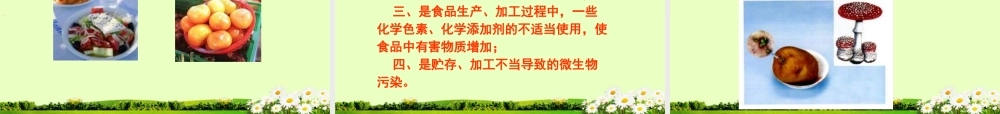 中学七年级生物下册(关注合理营养与食品安全)课件 新人教版 课件