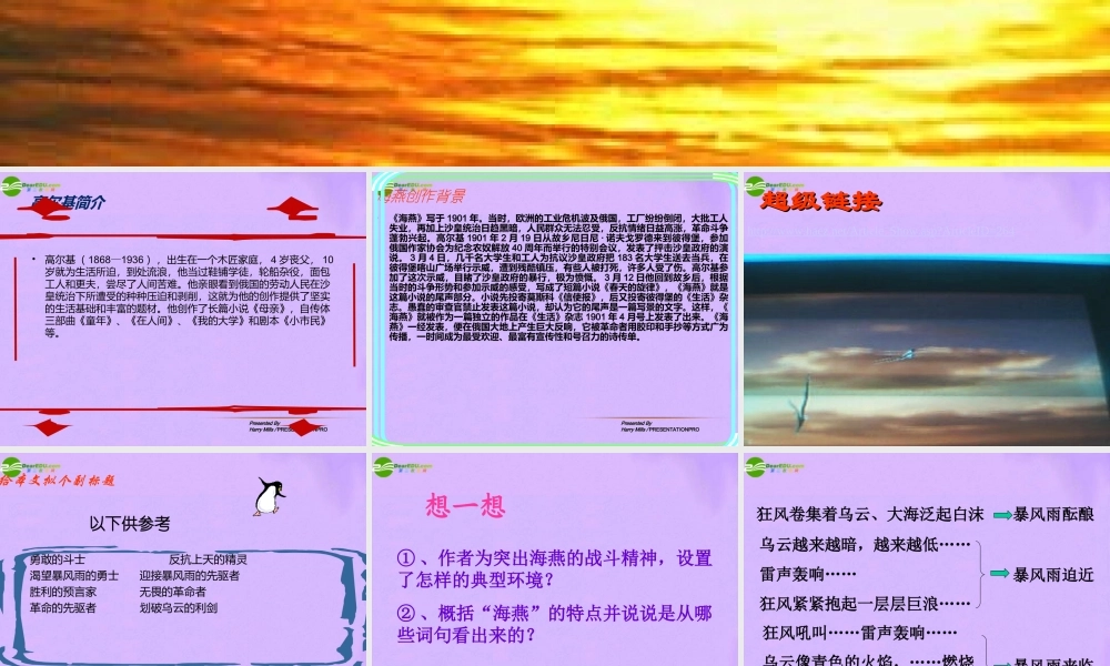 八年级语文下册 海燕课件 人教新课标版 课件