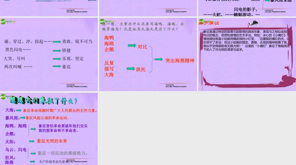 八年级语文下册 海燕课件 人教新课标版 课件