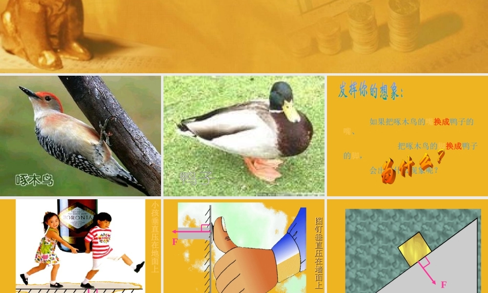 八年级科学上册 压力课件 华师大版 课件