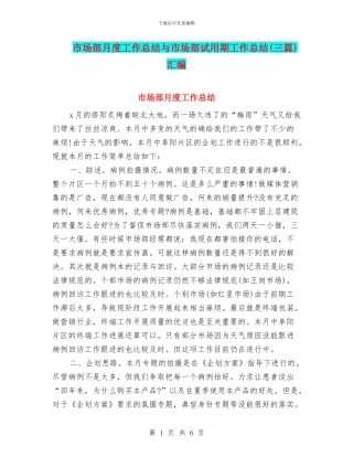 市场部月度工作总结与市场部试用期工作总结汇编
