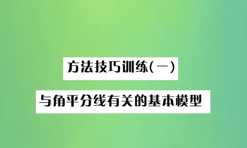 中考数学复习 第四单元 图形的初步认识与三角形 方法技巧训练(一)与角平分线有关的基本模型课件