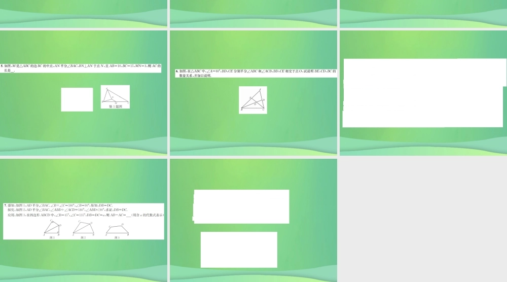 中考数学复习 第四单元 图形的初步认识与三角形 方法技巧训练(一)与角平分线有关的基本模型课件