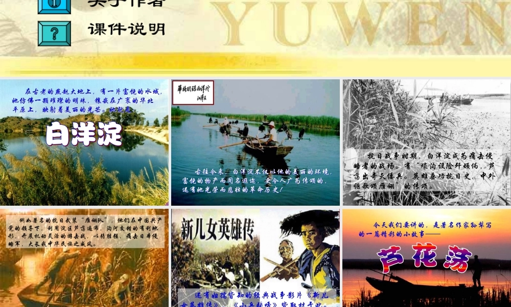 八年级语文芦花荡7课件