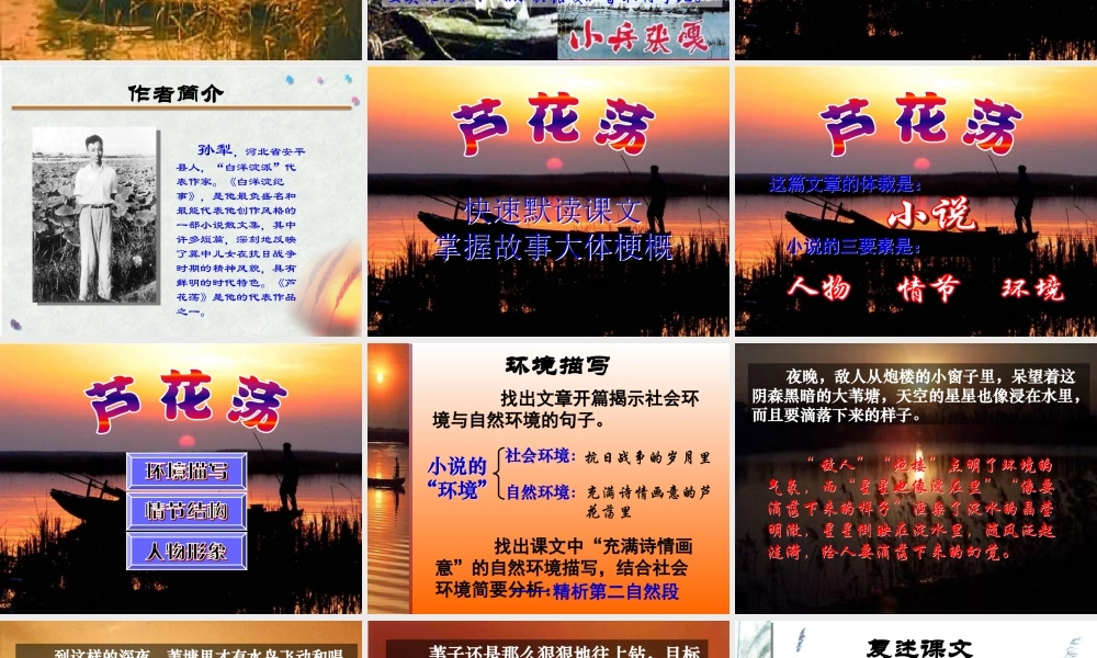 八年级语文芦花荡7课件
