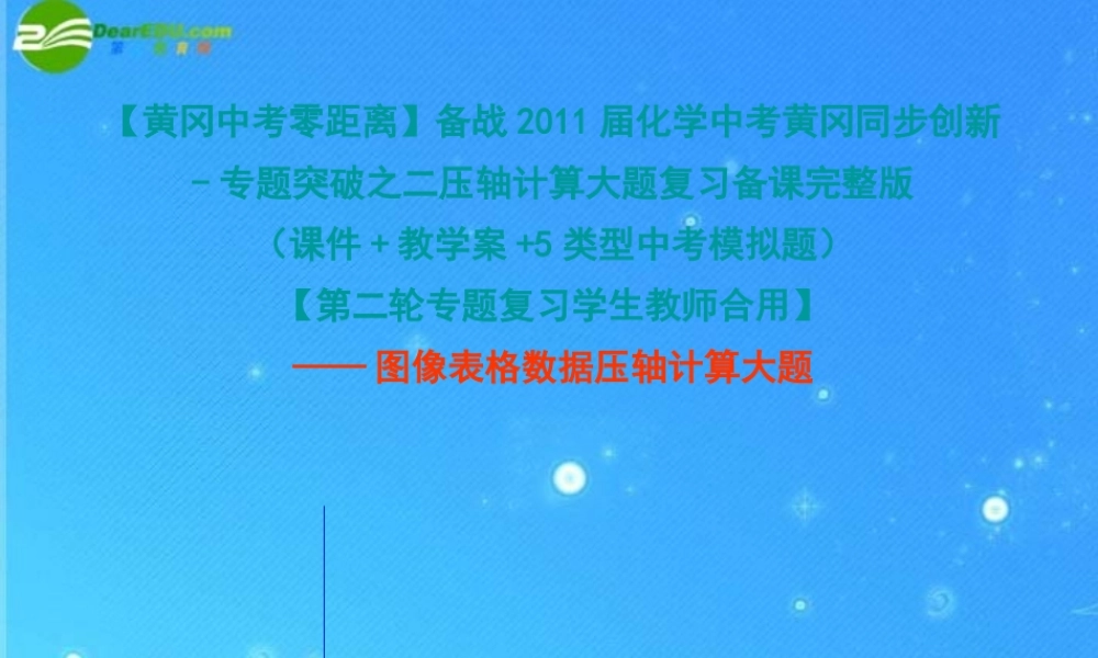 中考化学同步创新 专题突破二 压轴计算大题复习图像表格数据中考计算题课件