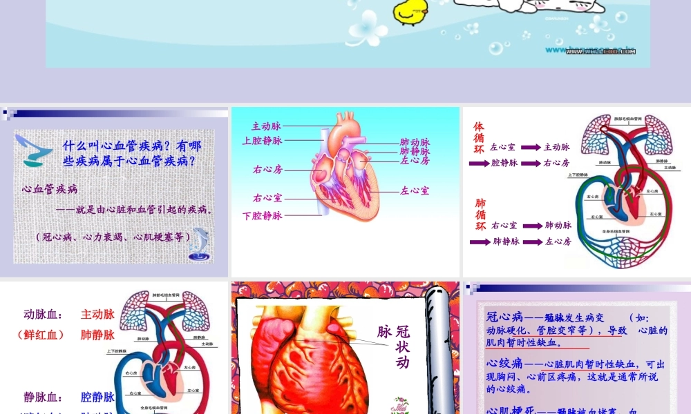 威胁健康的主要疾病 八年级生物上第18章第2节威胁健康的主要疾病课件苏教版 八年级生物上第18章第2节威胁健康的主要疾病课件苏教版