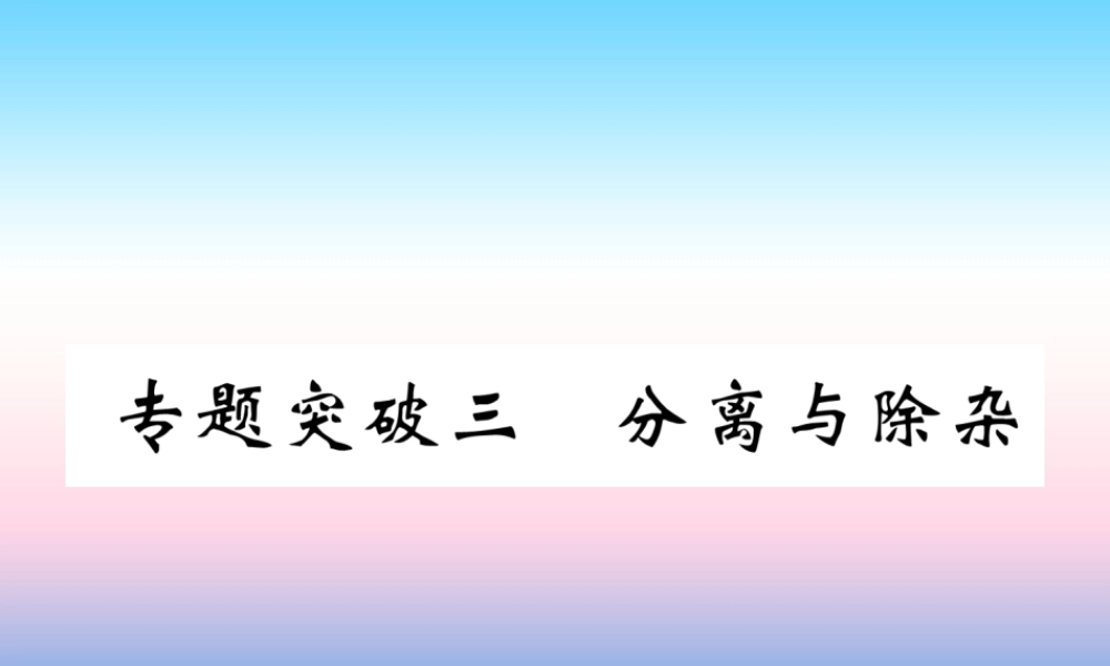 中考化学复习 第2编 重点专题突破篇 专题突破3 分离与除杂(精练)课件