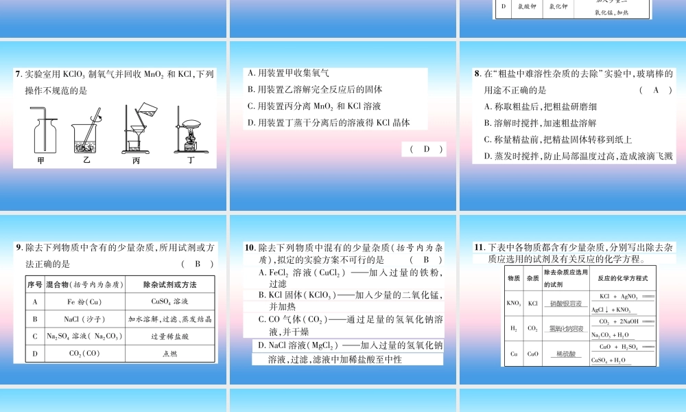 中考化学复习 第2编 重点专题突破篇 专题突破3 分离与除杂(精练)课件
