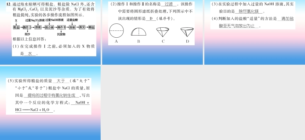 中考化学复习 第2编 重点专题突破篇 专题突破3 分离与除杂(精练)课件