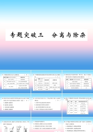 中考化学复习 第2编 重点专题突破篇 专题突破3 分离与除杂(精练)课件