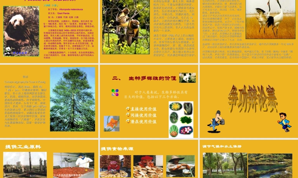 八年级生物下册 生物多样性课件 济南版 课件