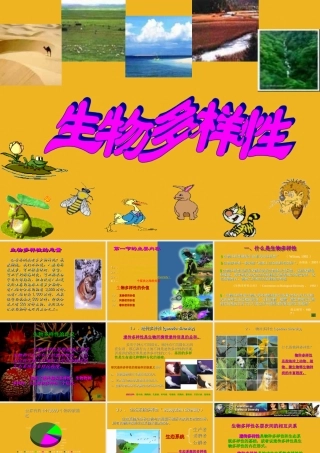 八年级生物下册 生物多样性课件 济南版 课件