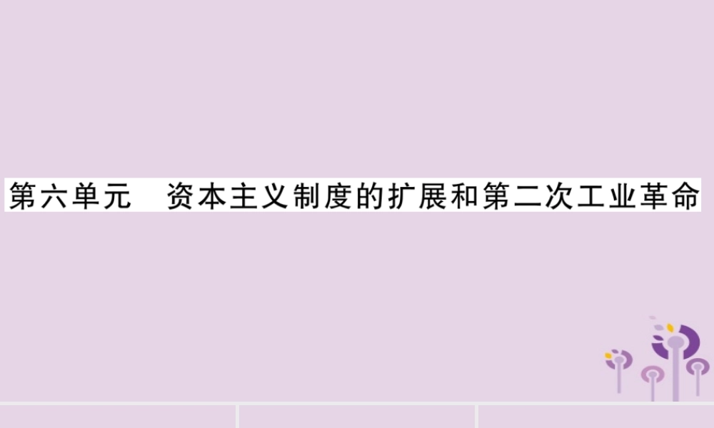中考历史复习 第一篇 教材系统复习 第4板块 世界历史 第6单元 资本主义制度的扩展和第二次工业革命(讲解)课件