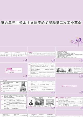 中考历史复习 第一篇 教材系统复习 第4板块 世界历史 第6单元 资本主义制度的扩展和第二次工业革命(讲解)课件