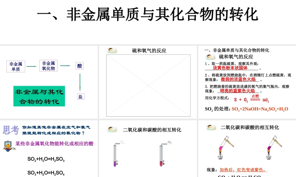 初中科学：中考专题复习——物质转化的规律课件