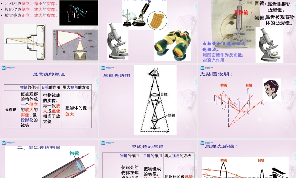 山东省泰安新泰市八年级物理上册 5.2 生活中的透镜课件 (新版)新人教版 课件