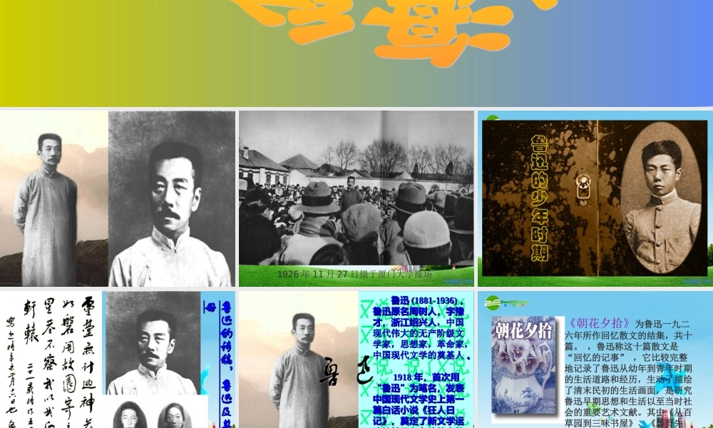 八年级语文上册阿长与(山海经)优秀课件(36页) 人教新课标版 课件