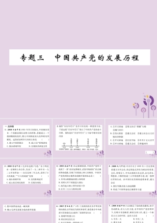 中考历史总复习 第二编 热点专题速查篇 专题3 中国共产党的发展历程(精练)课件