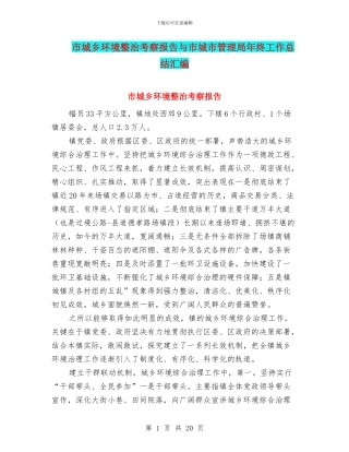 市城乡环境整治考察报告与市城市管理局年终工作总结汇编