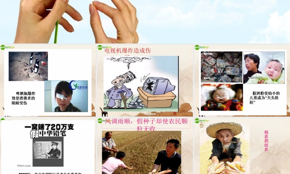 八年级政治上册(做聪明的消费者)课件 鲁教版 课件