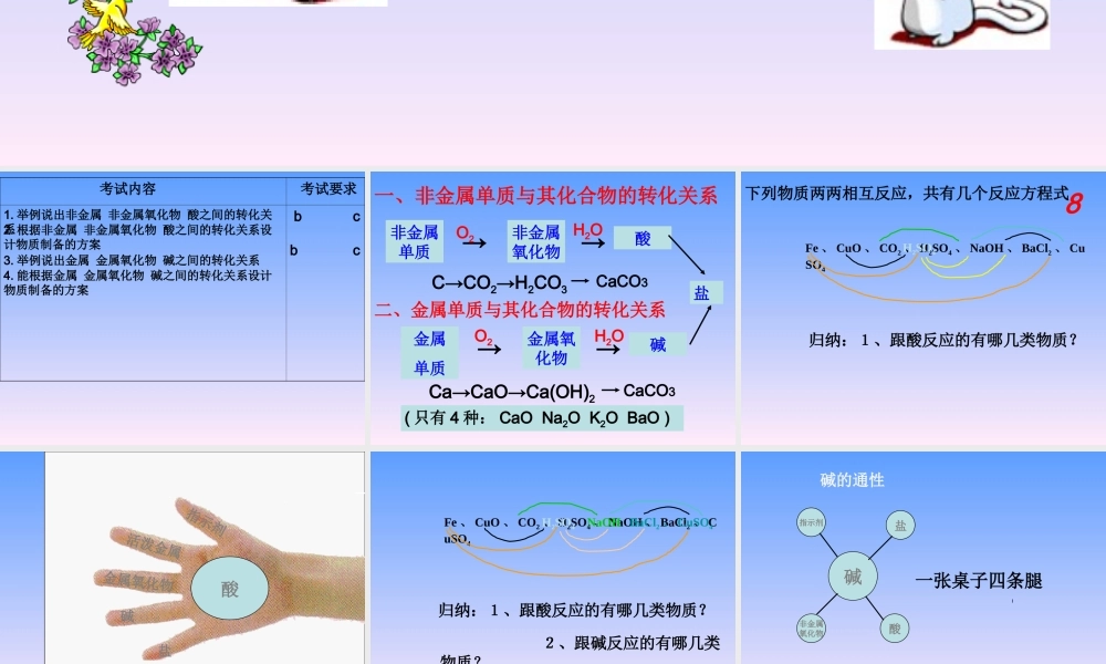 九年级科学上：第2节 物质转化的规律复习课件浙教版 课件